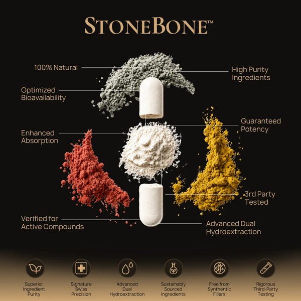 StoneBone