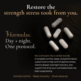Stress to Strength Stack Restore the Strength Stress Took from You