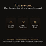 Stress to Strength Stack Three Formulas One Stress to Strength Protocol