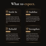 Stress to Strength Stack what-to-expect Timeline